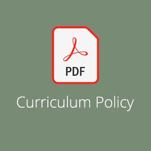 Curriculum Policy PDF